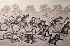 cat-race-poster