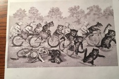 Cat Bike Race